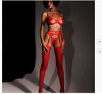 Sheer Heart Mesh Bra & Garter Lingerie Set